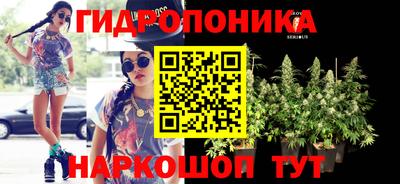 прущие грибы Беслан