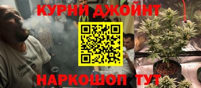 прущие грибы Беслан