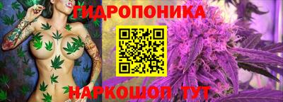 кокаин Берёзовский