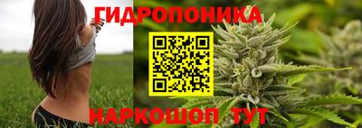 амф Бийск
