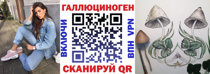 продажа наркотиков  Грозный  Галлюциногенные грибы мухоморы 