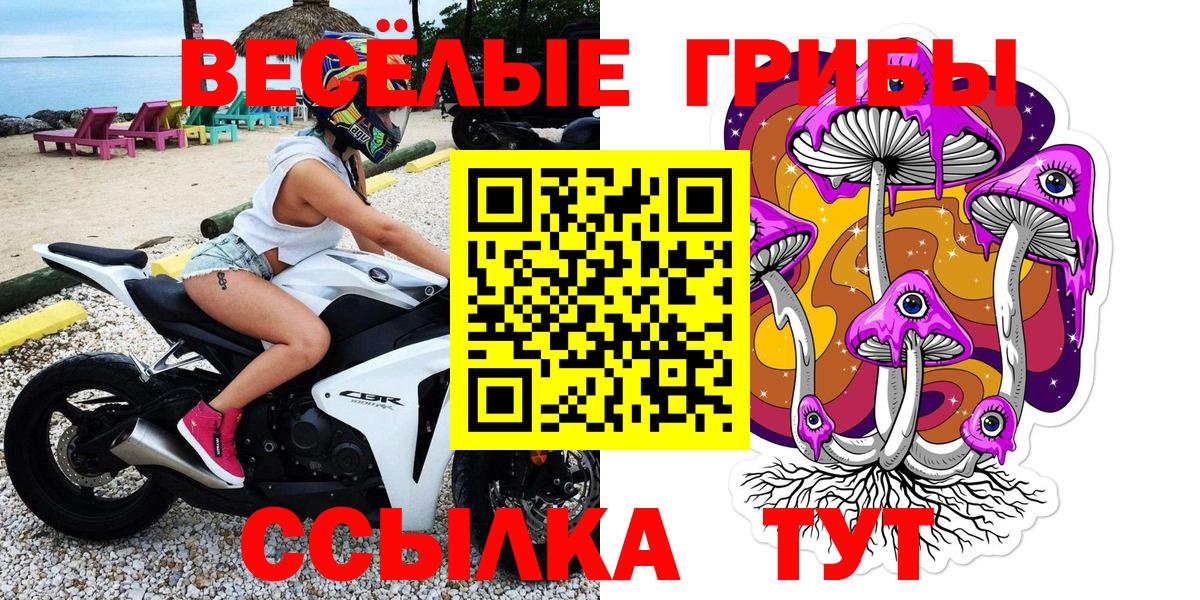 Псилоцибиновые грибы Psilocybine cubensis  Вход с VPN  Грозный 