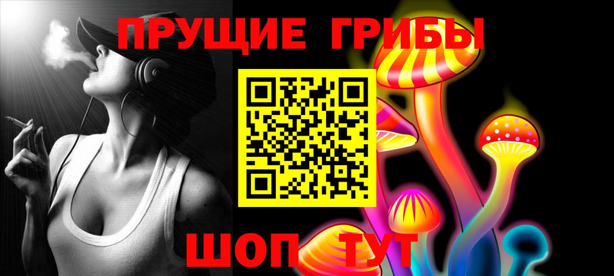 Псилоцибиновые грибы Cubensis Грозный