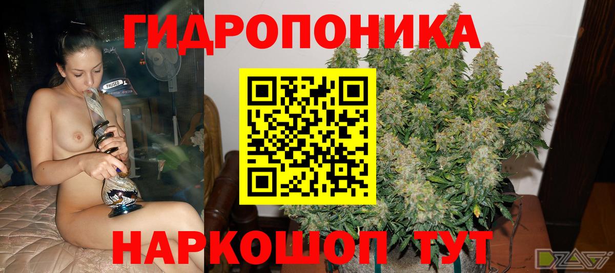 Марихуана VHQ  МАРИХУАНА MAZAR  Конопля семена  Вход с VPN  Грозный 
